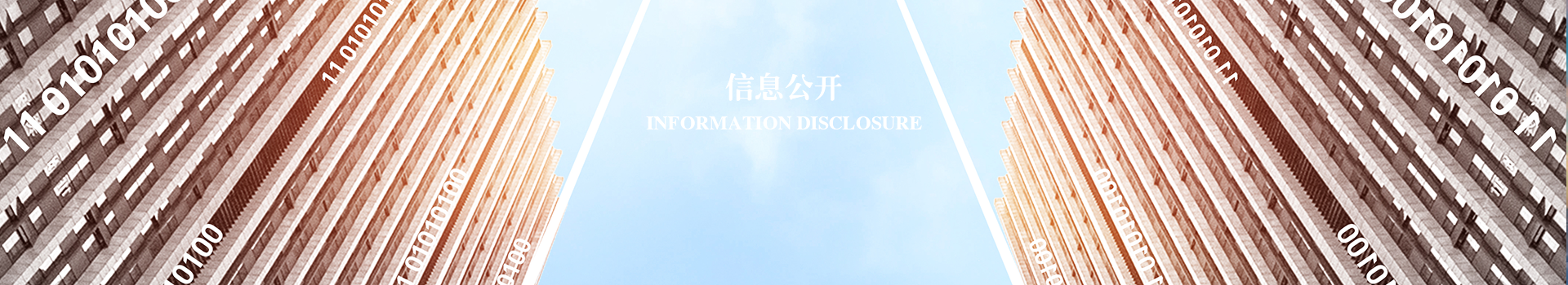 這(zhè)是描述信息 這(zhè)是描述信息